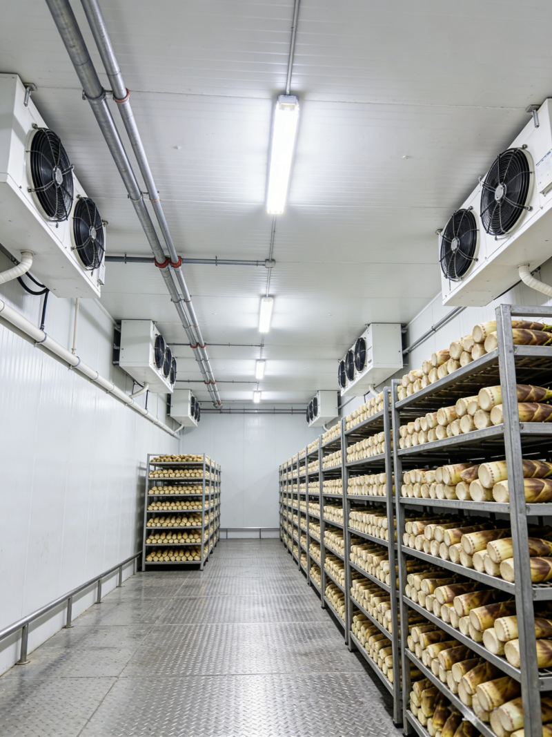 春季適合吃的蔬菜_副本