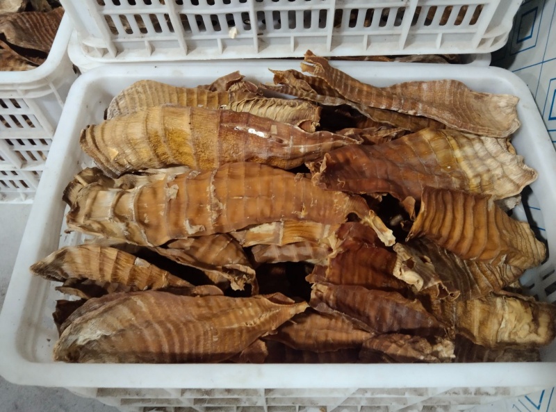 5e7c1b39830a7856075d2d3bbfe36519~tplv-be4g95zd3a-image_副本