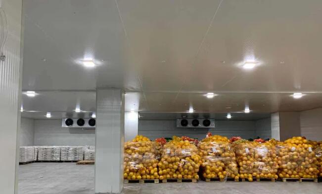 QQ截圖20230606135359